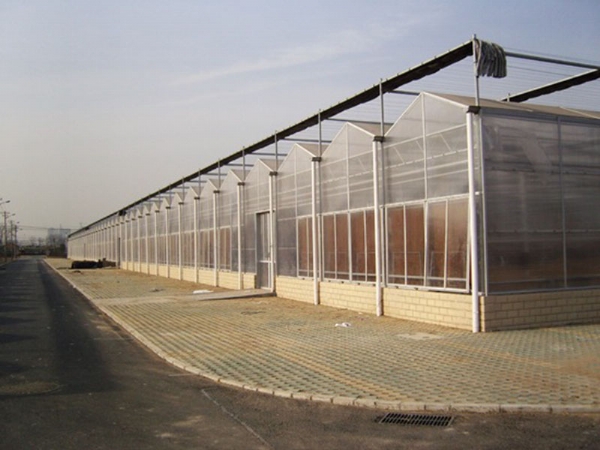 阳光板（pc板)温室